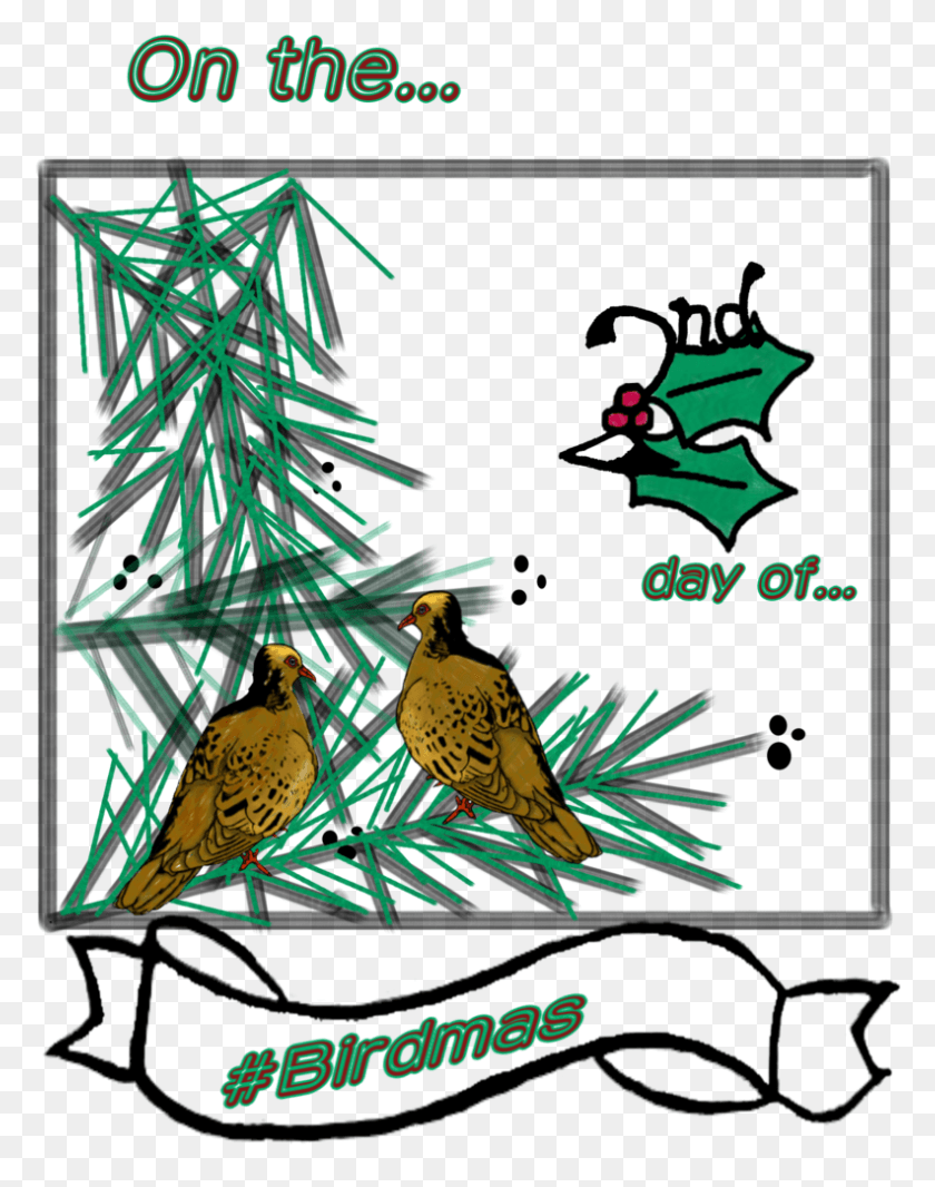 792x1022 Birdmas 2turtledoves Amp Partridge In A Pear Tree Illustration, Bird, Animal, Chicken HD PNG Download