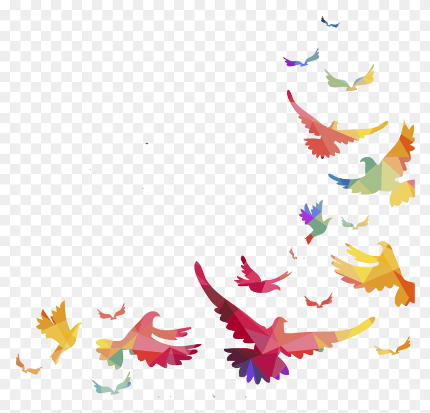 1480x1417 Birds Bird Borders Border Frame Frames Happy Friday Enjoy Your Weekend, Paper, Graphics HD PNG Download