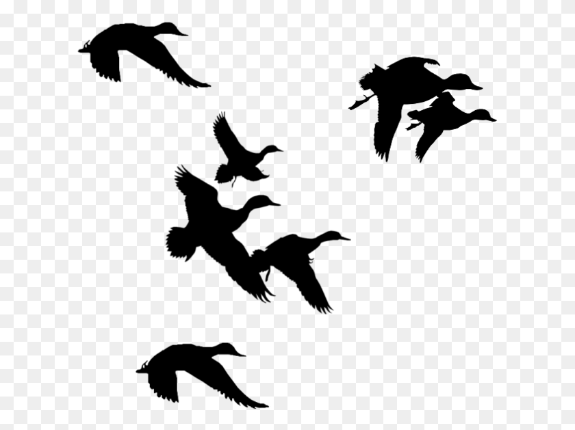 615x569 Birds Flight Ilrations And Clipart Duck Hunter Clip Art, Gray, World Of Warcraft HD PNG Download