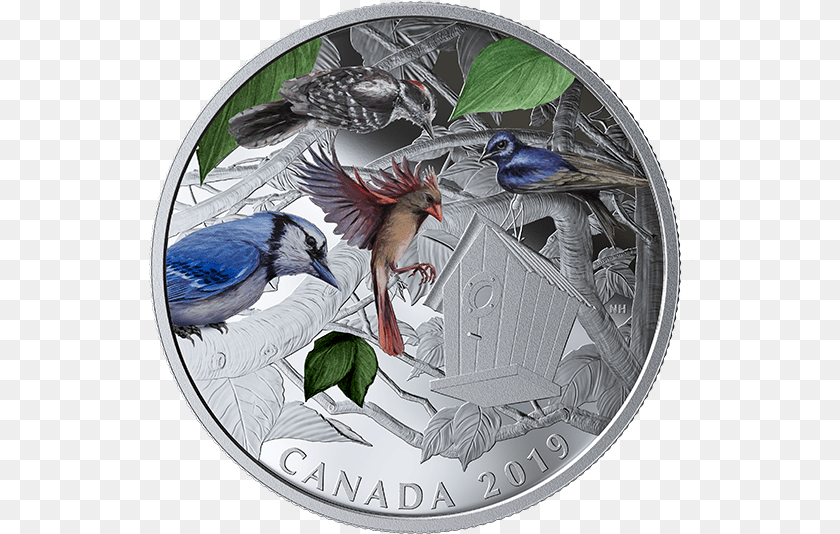 Birds In The Backyard Mnze 2019, Animal, Bird, Jay, Coin PNG