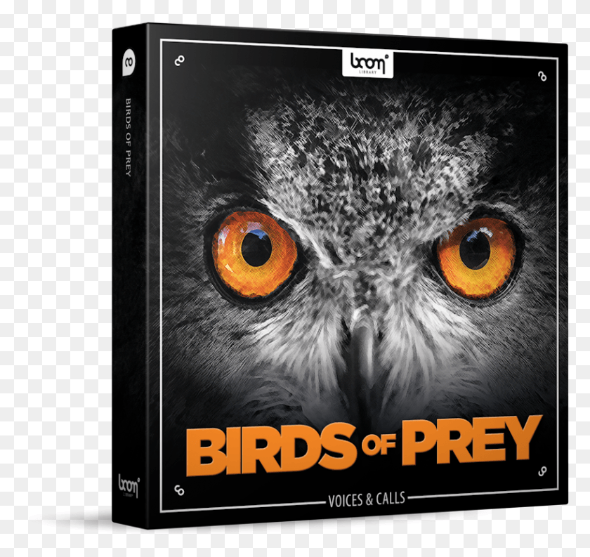 817x768 Birds Of Prey Sound Effects Library Product Box Boom Library Cinematic Trailers Designed 2 Stereo, Owl, Bird, Animal HD PNG Download