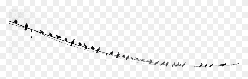 1536x409 Birds On A Wire, Outdoors, Flock, Animal HD PNG Download