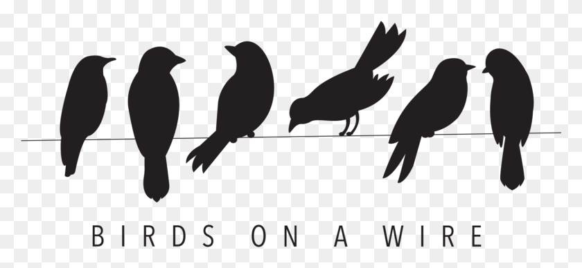 1501x632 Birds On A Wire Silhouette Birds On A Wire, Bird, Animal, Finch HD PNG Download