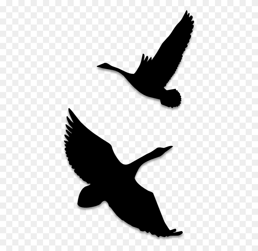 442x758 Birds Silhouettes Art Amp Islamic Graphics Seabird, Gray, World Of Warcraft HD PNG Download