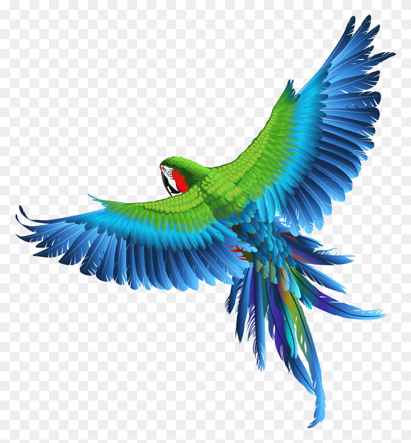 5001x5436 Aves De Fondo Transparente, Volando, Pájaro, Animal Hd Png