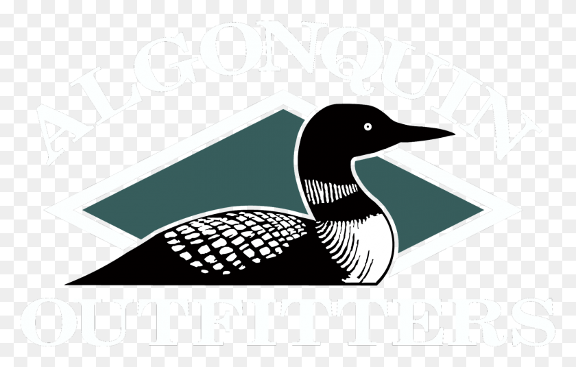1600x975 Birds Vector Loon Drawing, Animal, Bird, Anseriformes HD PNG Download