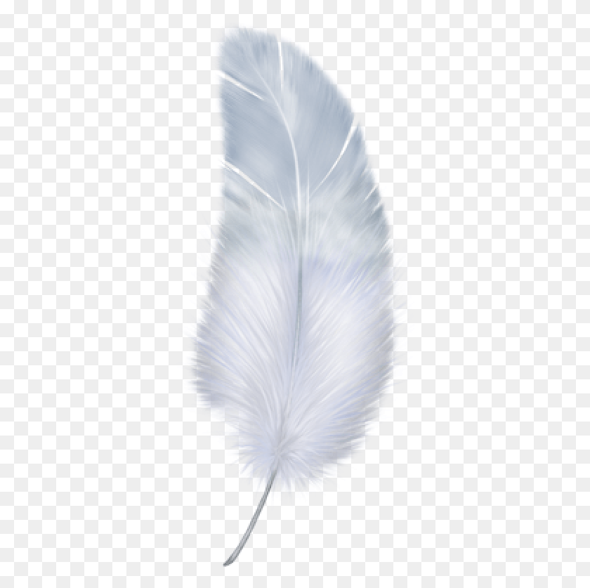 341x777 Birdy Feather Portable Network Graphics, Animal, Bird, Pollen HD PNG Download