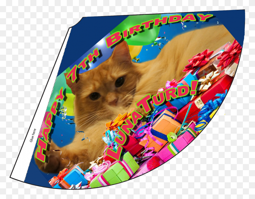 1563x1193 Birthday Hat, Advertisement, Poster, Pet HD PNG Download