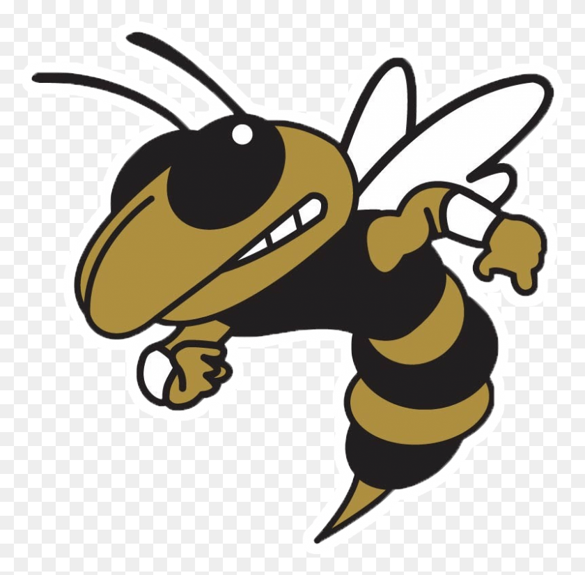 798x783 Bishop Moore Catholic Hornets Transparent Georgia Tech Logo, Wasp, Bee, Insect HD PNG Download