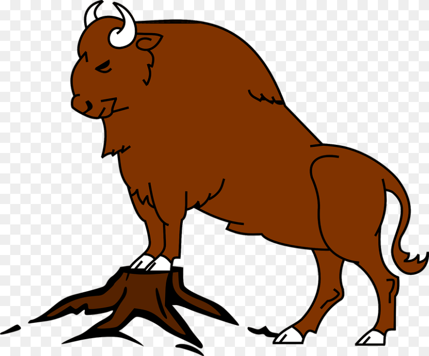 866x720 Bison, Animal, Buffalo, Wildlife, Mammal Transparent PNG