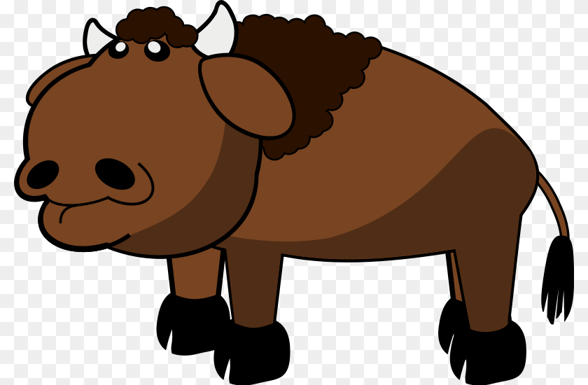 800x550 Bison Clip Art, Baby, Person, Animal, Mammal PNG