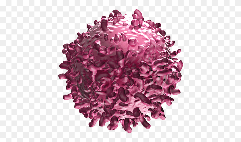 437x435 Биспецифические Tcell Engager Раковые Клетки Раковые Клетки Розовые Мультяшные Раковые Клетки, Растение, Лепесток, Цветок Hd Png Скачать
