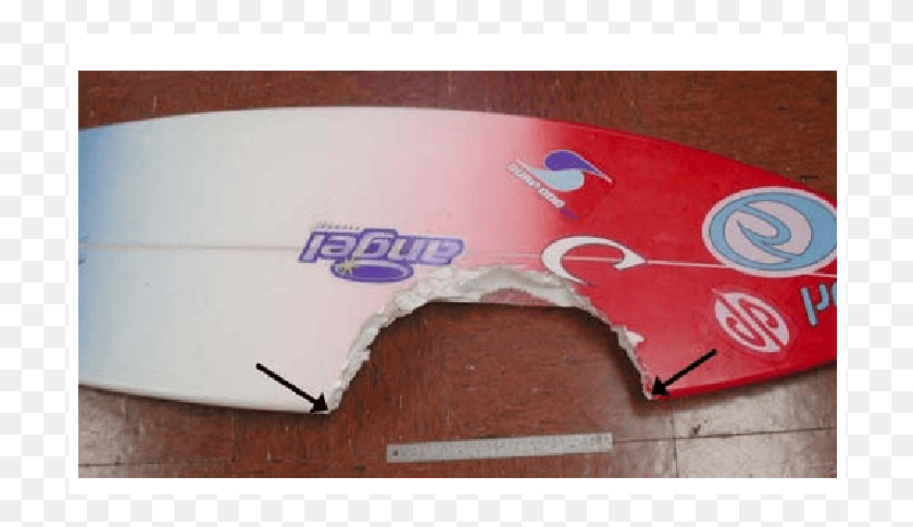 716x425 Bite Damage To A Surfboard Produced By A Large Tiger Surfboards Bitten By Sharks, Sea, Outdoors, Water HD PNG Download