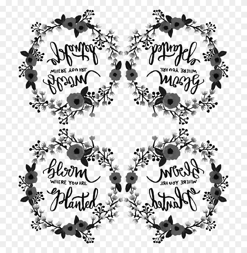 728x800 Black Amp White Bloom Where You Are Planted Wreath Wallpaper Calligraphy, Pattern, Rug, Graphics HD PNG Download