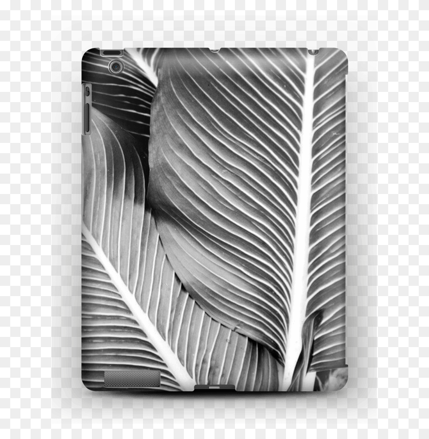 637x800 Descargar Png Black Amp White Leaves Case Ipad Banana Palmtree Leaf, Aluminio, Libro, Cristal Hd Png