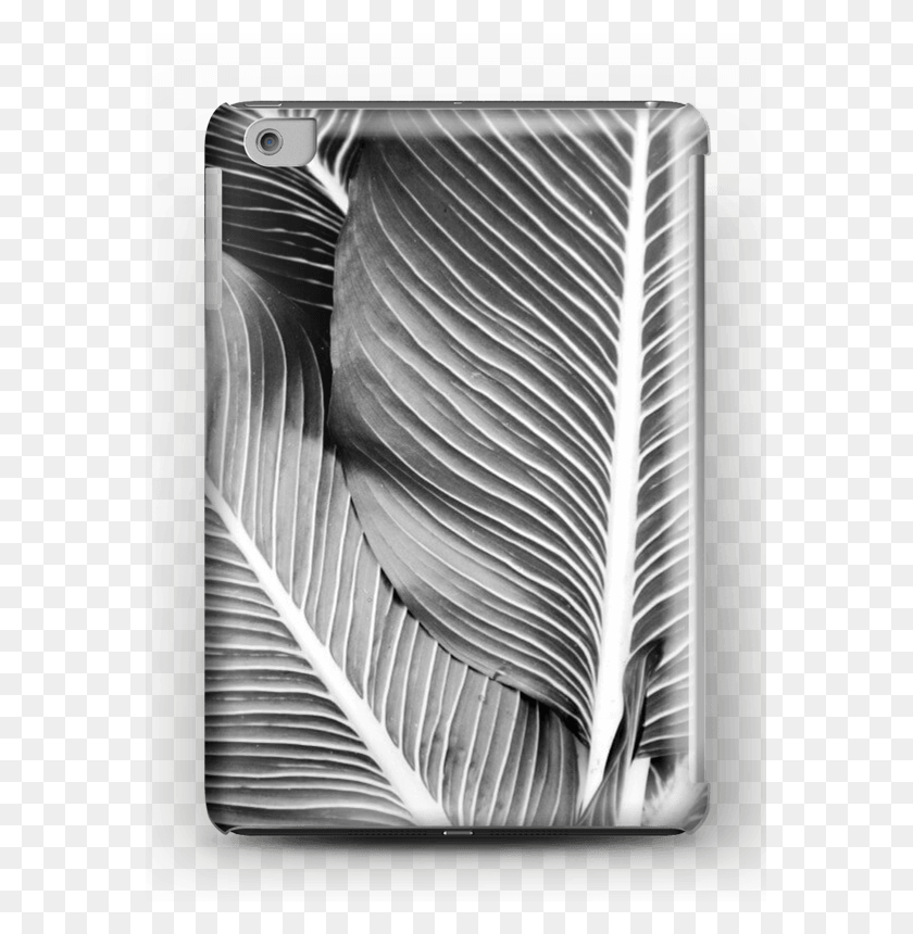 571x800 Black Amp White Leaves Case Ipad Mini Banana Palmtree Leaf, Book, Aluminium HD PNG Download