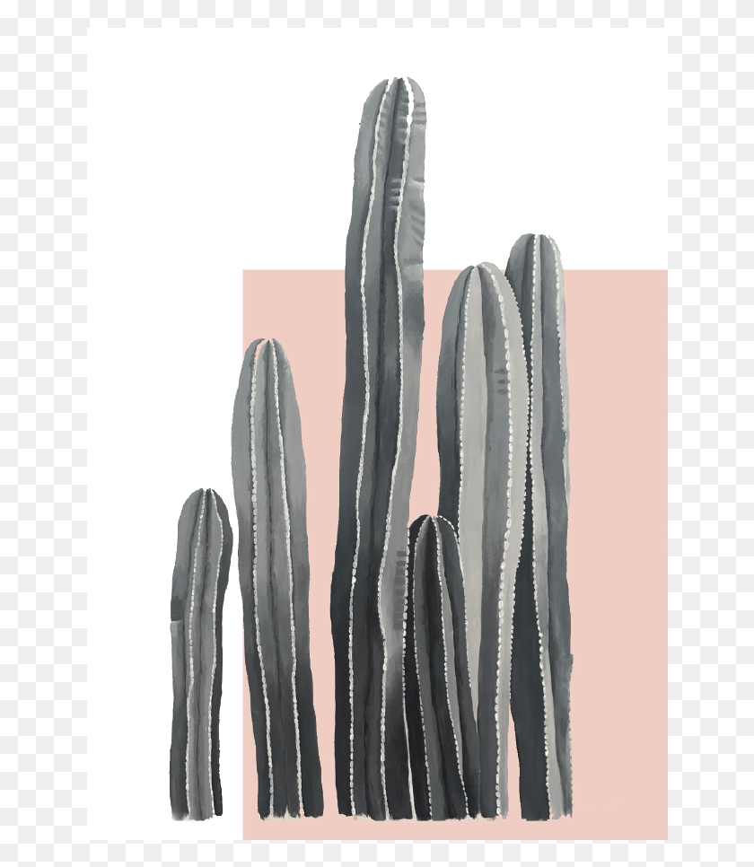 648x906 Black And White Cactus San Pedro Cactus, Plant, Rock HD PNG Download