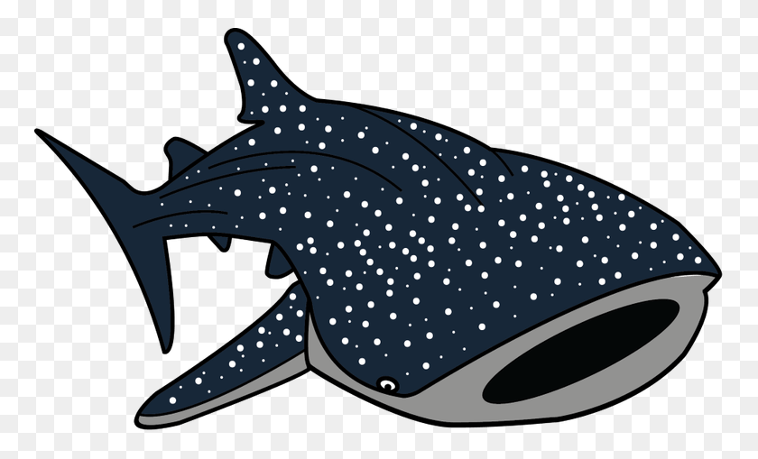 766x449 Black And White Cartoon Pictures Cartoonwjd Whale Shark Clipart, Sea Life, Animal, Fish HD PNG Download