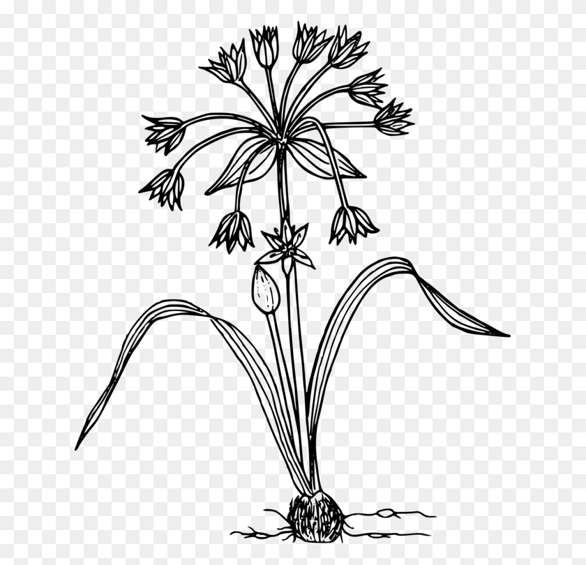 625x750 Black And White Clipart Of Flowering Plant, Gray, World Of Warcraft HD PNG Download