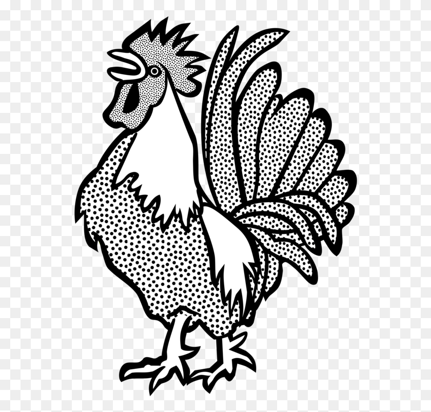 554x743 Black And White Clipart Of Rooster, Animal, Bird, Poultry HD PNG Download