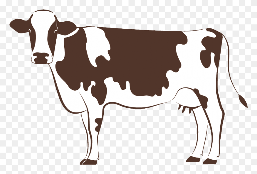 876x573 Черно-Белая Корова Логотип Коровы, Крупный Рогатый Скот, Млекопитающее, Животное Hd Png Скачать