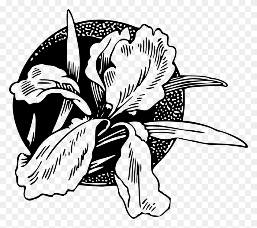 854x750 Черно-Белый Лепесток Цветка Siyah Beyaz, Серый, Мир Варкрафта Png Скачать