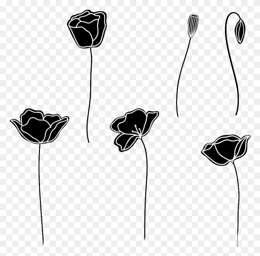 938x927 Черно-Белый Нарисованный Вручную Цветок Тюльпан, Аксессуары, Аксессуар, Ювелирные Изделия Hd Png Скачать