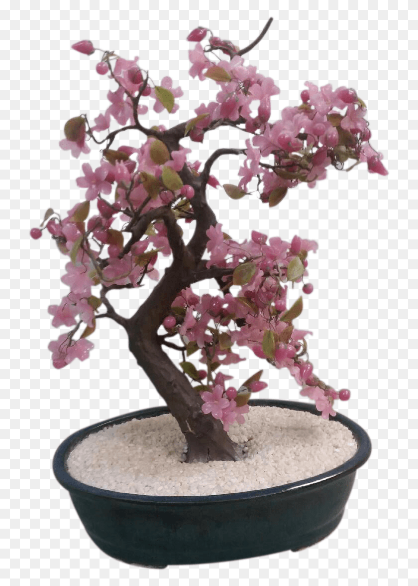 730x1115 Black And White Jade Oriental Tree Sculpture Chairish Sageretia Theezans, Plant, Vase, Jar HD PNG Download