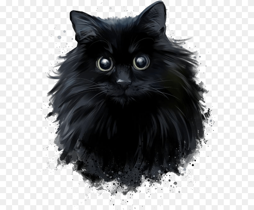 581x696 Black And White Norwegian Forest Cat, Animal, Black Cat, Mammal, Pet Sticker PNG