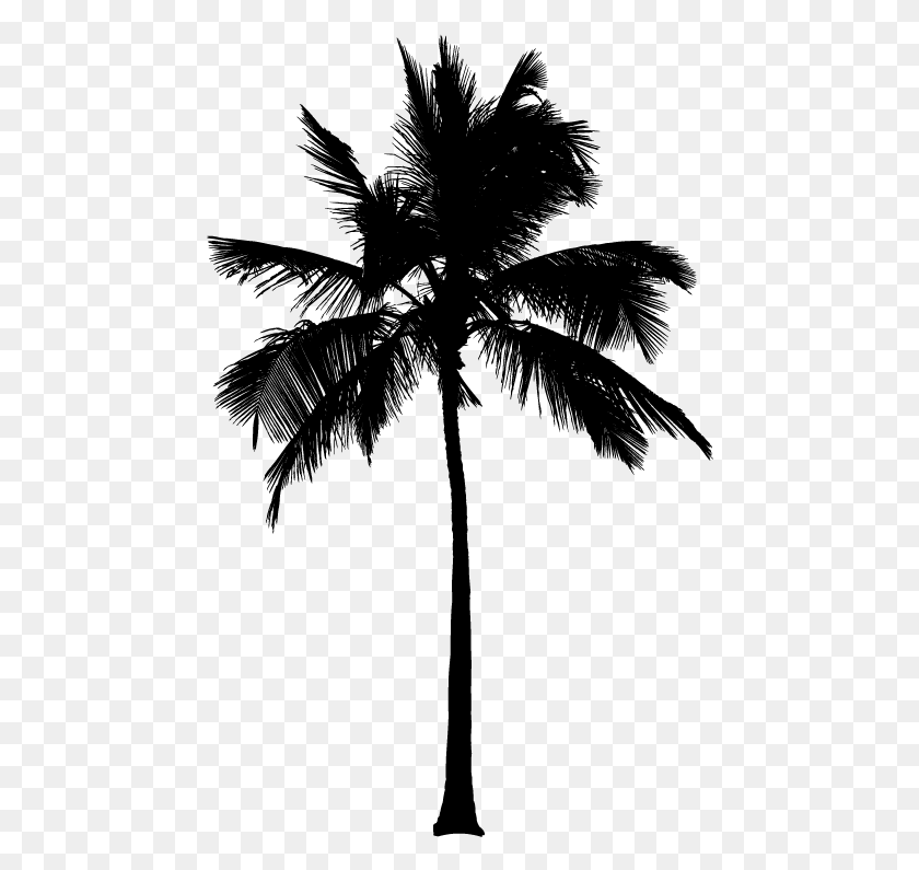 464x735 Black And White Palm Tree For On Mbtskoudsalg 80s Palm Tree, Gray, World Of Warcraft HD PNG Download