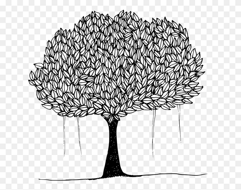 651x602 Черно-Белое Изображение Баньяна Белое Дерево С Черными Листьями, Серый, World Of Warcraft Hd Png Скачать