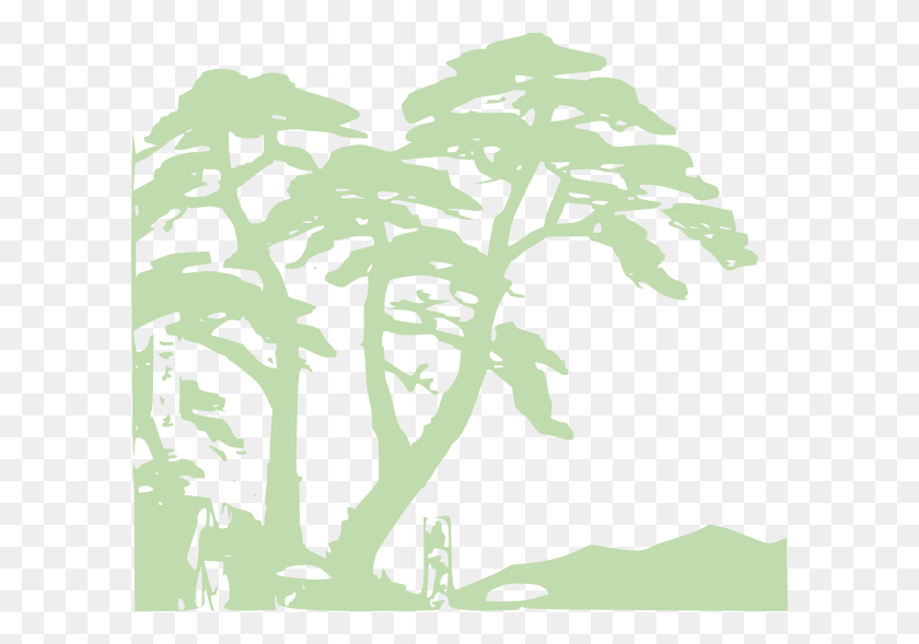 600x529 Black And White Rainforest Edit Trees Rainforest Black And White, Plant, Tree, Green HD PNG Download