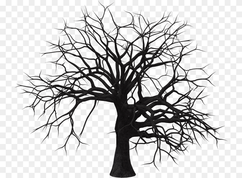 Black And White Tree, Plant, Art Transparent PNG