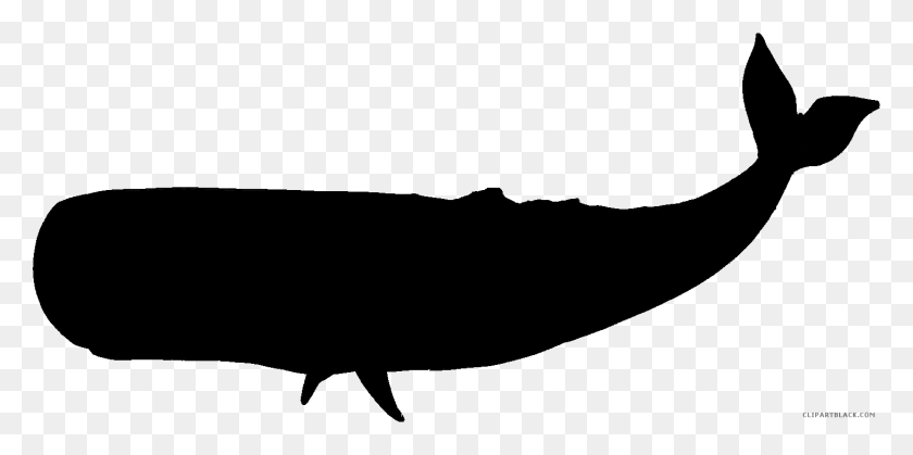 1457x671 Black And White Whale Whale Black Silhouette, Nature, Outdoors, Night HD PNG Download