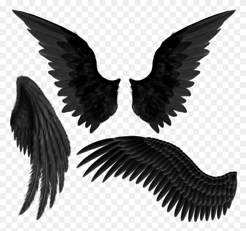 1276x1193 Black Angel Wings, Bird, Animal, Eagle HD PNG Download