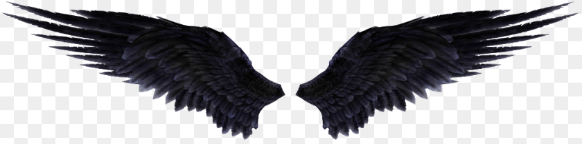 1024x255 Black Angel Wings, Animal, Bird, Flying, Vulture Clipart PNG