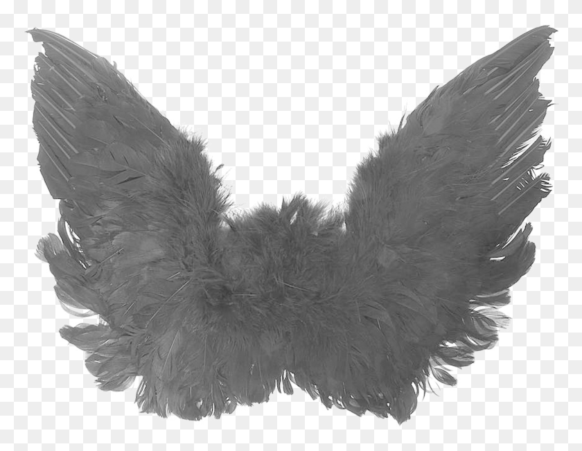 1754x1329 Black Angel Wings High Quality Image Black Angel Wings, Clothing, Apparel, Bird HD PNG Download