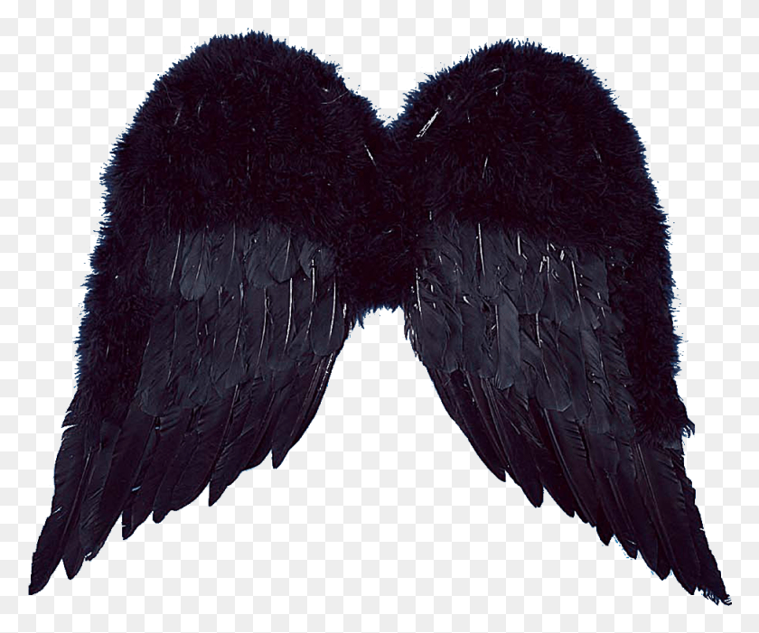 972x800 Black Angel Wings Illustration, Bird, Animal, Mustache HD PNG Download