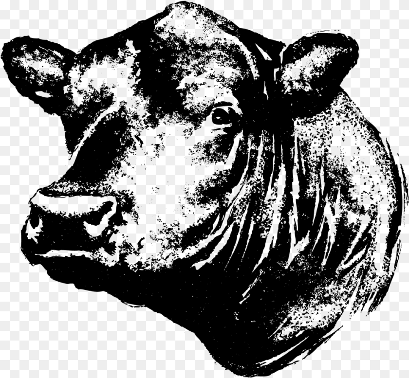 988x914 Black Angus Bull Silhouette Clipart Black Angus Cow Head, Gray Sticker PNG