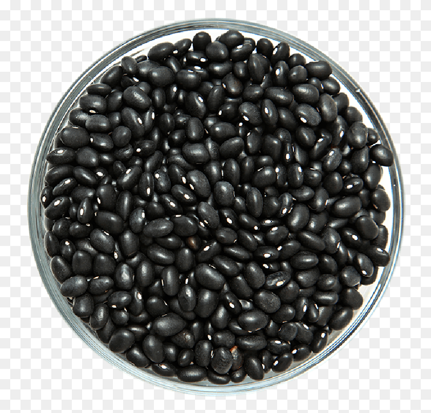 746x746 Black Beans Black Beans, Plant, Bean, Vegetable HD PNG Download