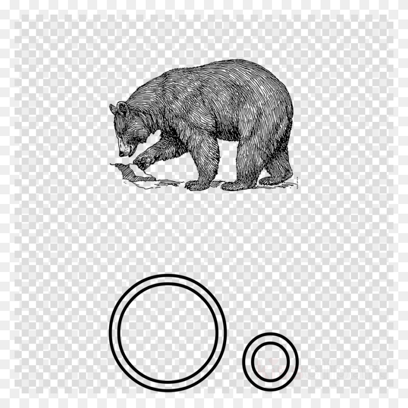900x900 Black Bear Drawing Clipart American Black Bear Giant, Pattern, Texture, Rug HD PNG Download