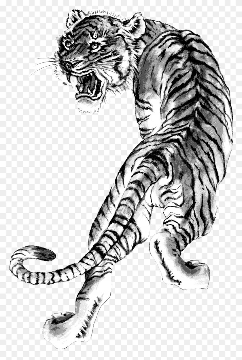 2506x3828 Программа Черного Пояса Логотип Тигрового Кунг-Фу, Дикая Природа, Млекопитающее, Животное Hd Png Скачать