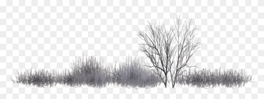1017x336 Black Bushes Black And White, Nature, Outdoors, Ice HD PNG Download