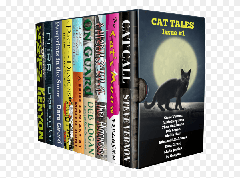 596x563 Gato Negro, Libro, Gato, Mascota Hd Png