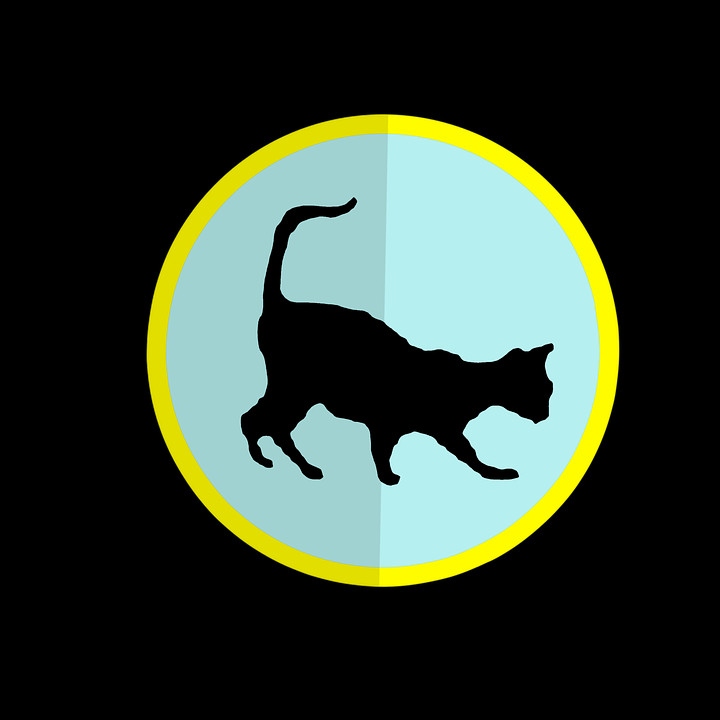 720x720 Black Cat, Animal, Cat, Pet HD PNG Download