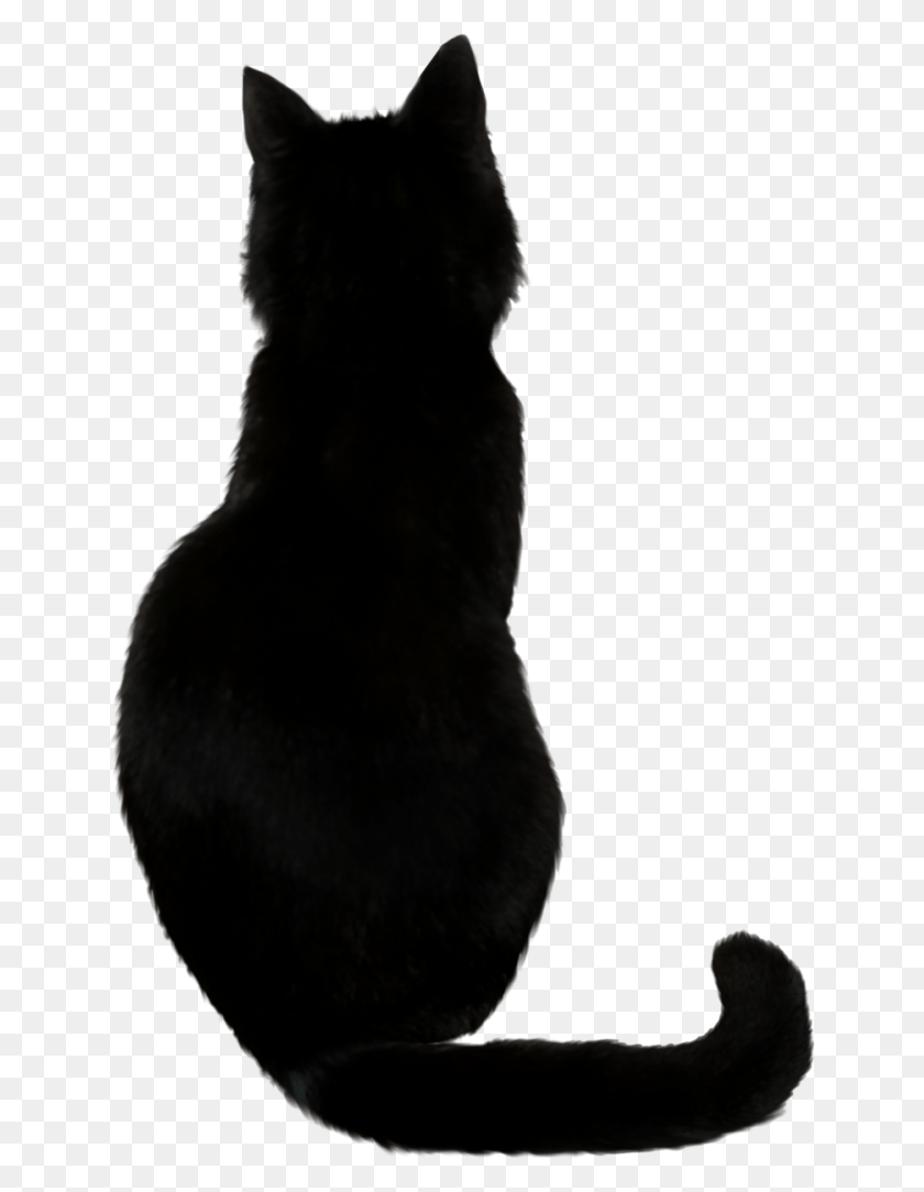 643x1024 Black Cat Photos Chat Noir Dessin Facile, Cat, Pet, Mammal HD PNG Download