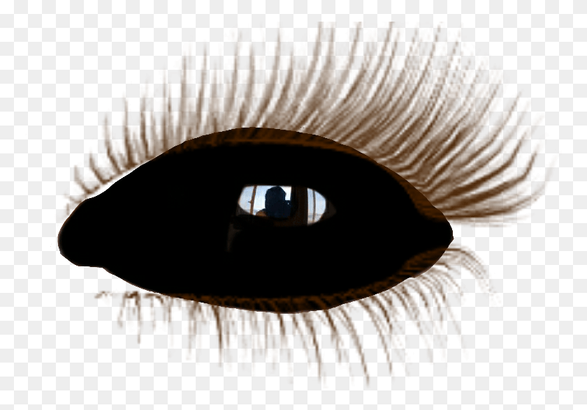 769x528 Black Eye Olho Negro Demon Demnio Supernatural Realistic Eyelashes Transparent Background, Person, Human HD PNG Download