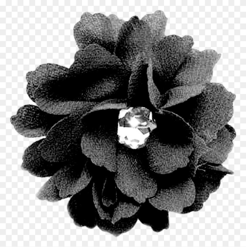 919x921 Black Flower, Plant, Blossom, Accessories HD PNG Download