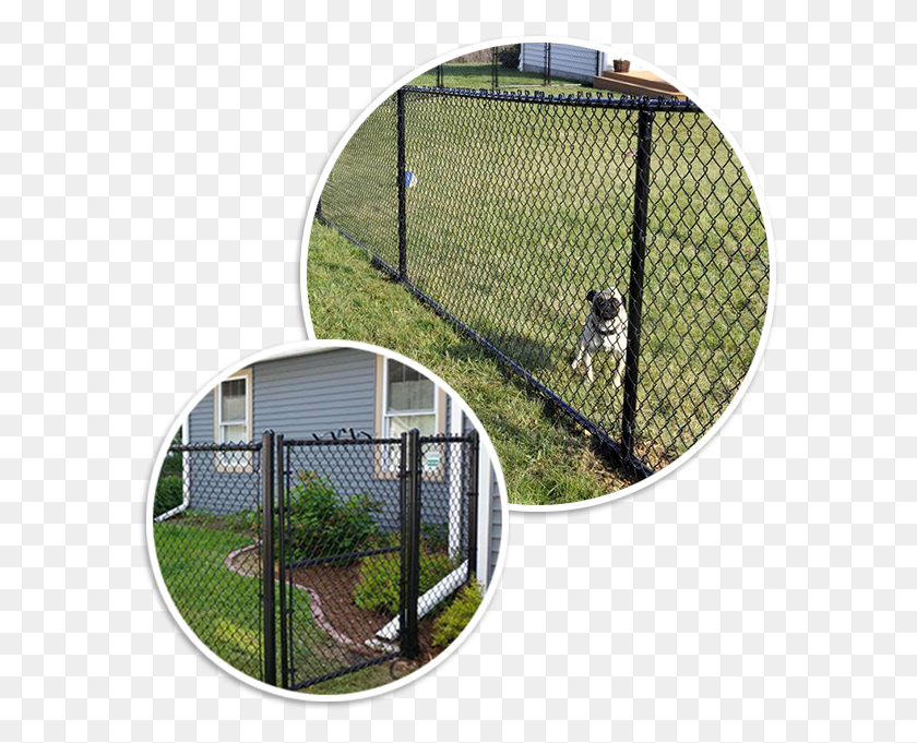 588x621 Black Galvanized Chain Link Fence Chain Link Fence Post Light, Dog, Pet, Canine HD PNG Download