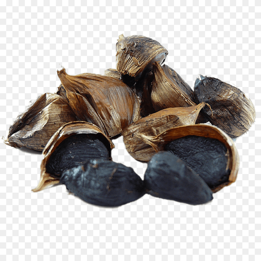 Black Garlic, Food, Animal, Insect, Invertebrate Clipart PNG